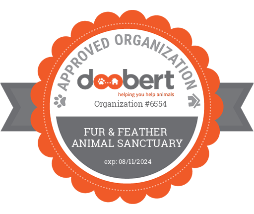A red ribbon-style flower banner that reads, "Approved Organization: doobert Organization #6554 - Fur & Feather Animal Sanctuary. Expires: 08/11/2024"